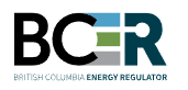 BCER Logo