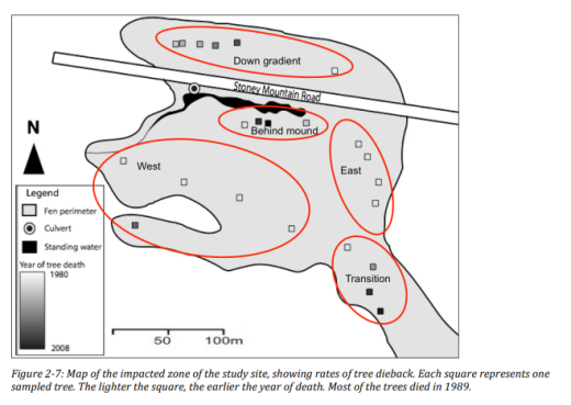 Bocking - effects of road construction on tree mortality