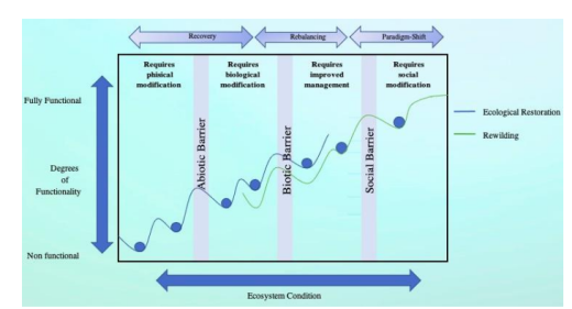 Restoration vs. rewilding