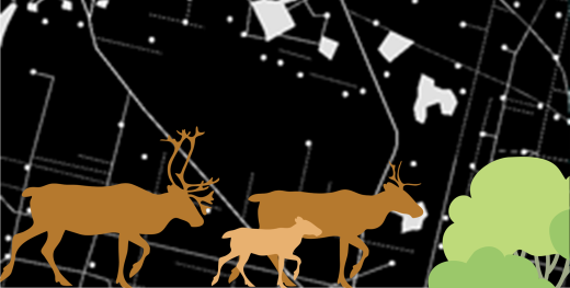 Graphical images of three caribou walking in front of a map depicting anthropogenic disturbance.