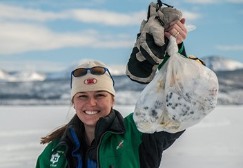 Caribou scat