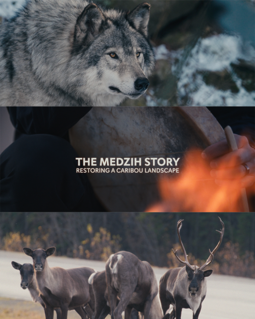 Film poster