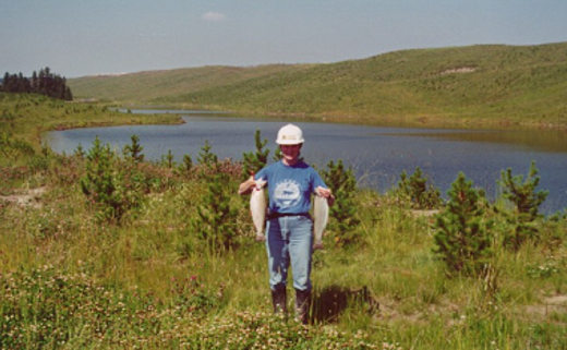 Pit Lake Fish