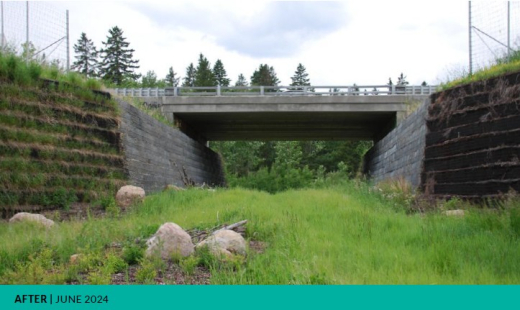 Marquis Wildlife Corridor