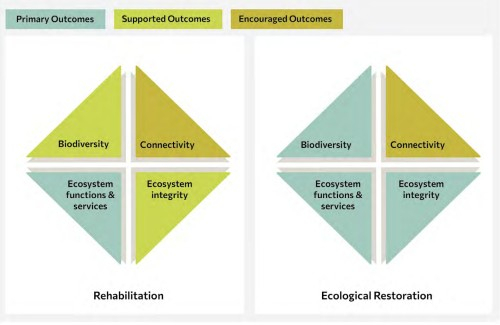 Rehabilitation vs. restoration