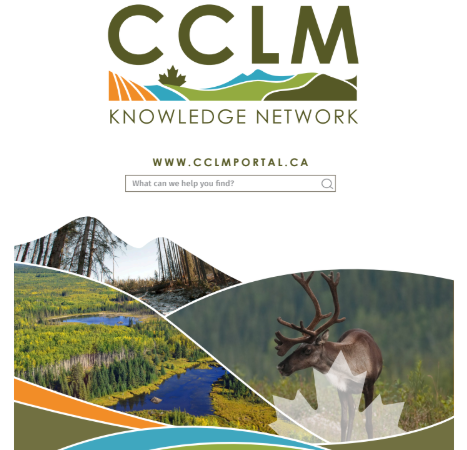 CCLM image