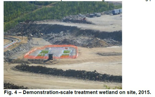 Constructed wetland demonstration