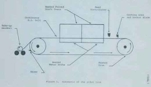 Seed sheet system