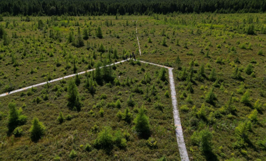 Peatland Complex