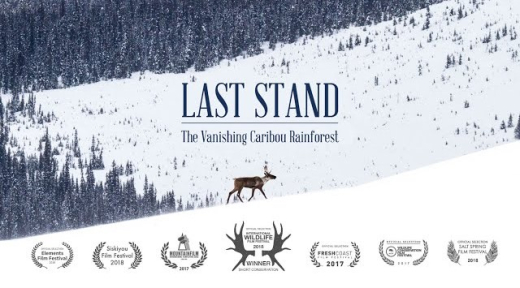Film poster