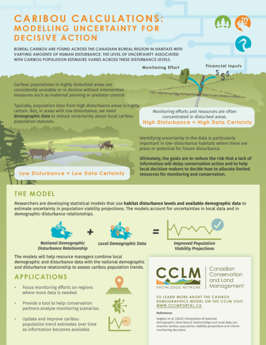 Caribou Calculations image