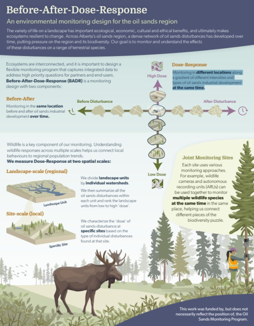BADR Infographic