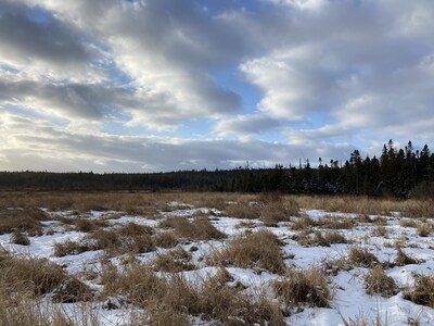 ducks_unlimited_canada_conserving_wild_spaces_in_newfoundland_an.jpg