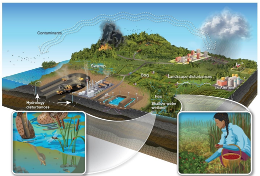 5_year_oil_sand_wetland_moinitoring.png