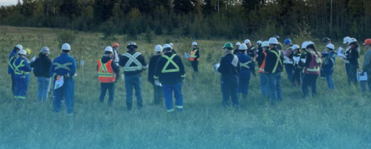 Report Image