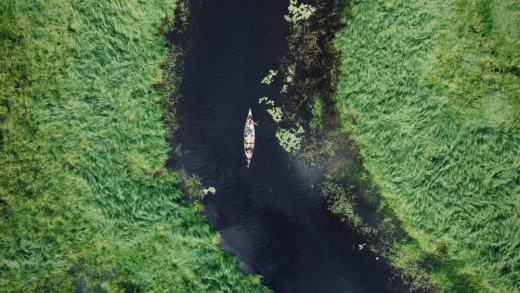 Mission to Marsh