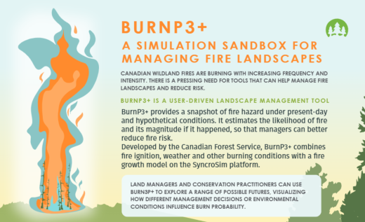 BURNP3 image