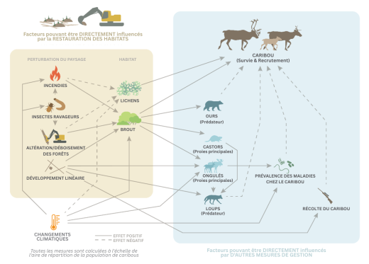 ecological model