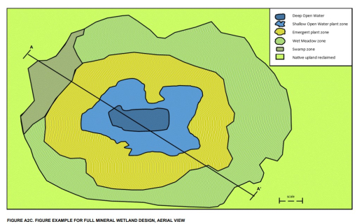Mineral Wetland