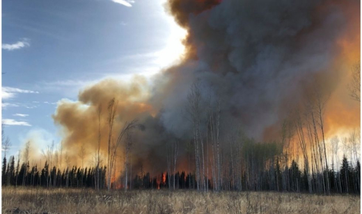 peatland-fire