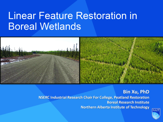 Linear Feature Restoration in Boreal Wetlands image