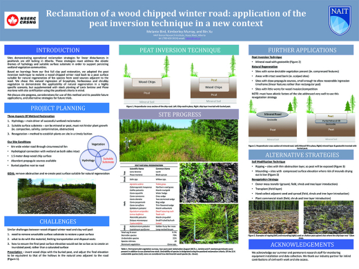 Reclamation of a Wood Chipped Winter Road Poster Image