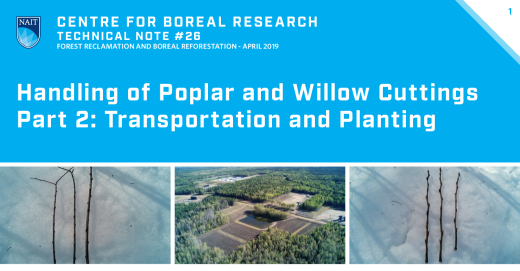 Poplar and Willow Part 2 Title