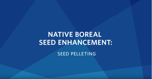 Seed Pelleting Video