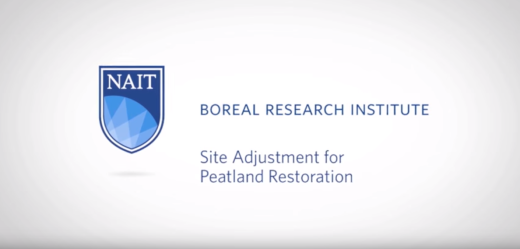 Site adjustment trial title